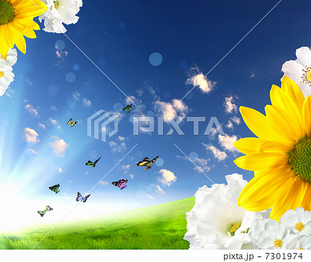 Beautiful flowers against the blue sky 7301974