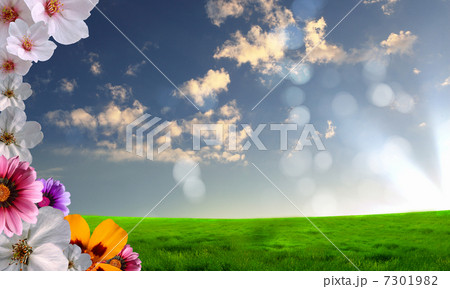 Beautiful flowers against the blue sky Beautiful flowers against the blue sky 7301982