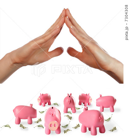 arms and piggy bank 7304308