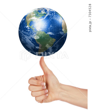 Palm and Earth 7304528
