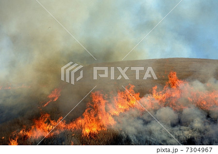 大室山 大室山 7304967