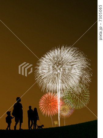 花火を観る人々 7305065