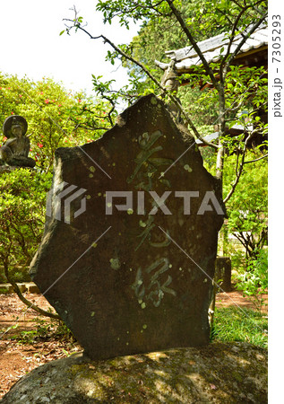 館林散歩・茂林寺　境内の石碑 7305293