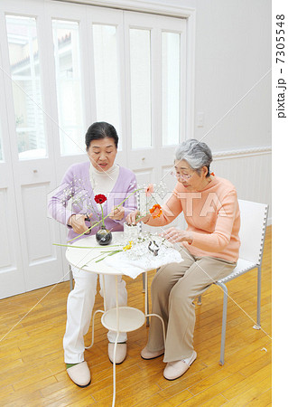 教室に通うシニア女性 教室に通うシニア女性 7305548