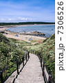 真夏の海岸 7306526