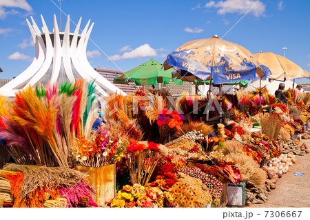カテドラル・メトロポリターナ カテドラル・メトロポリターナ 7306667