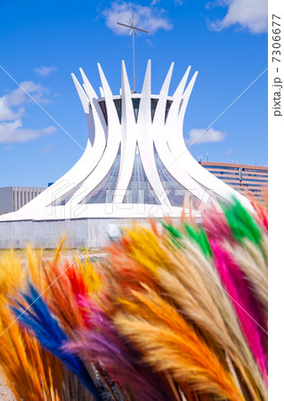 カテドラル・メトロポリターナ カテドラル・メトロポリターナ 7306677