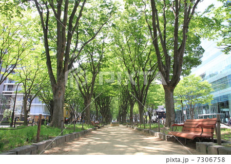 仙台定禅寺通 仙台定禅寺通 7306758