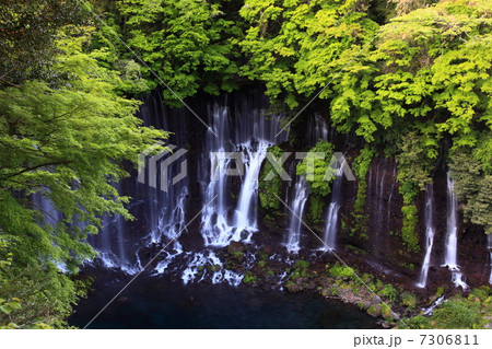 静岡　白糸の滝 7306811