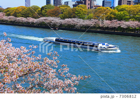 アクアライナーと桜並木 7306812