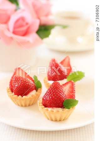 タルト タルト 7306902