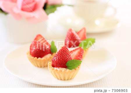 タルト タルト 7306903