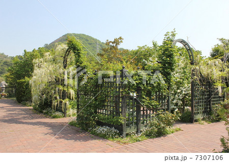 深山公園 7307106