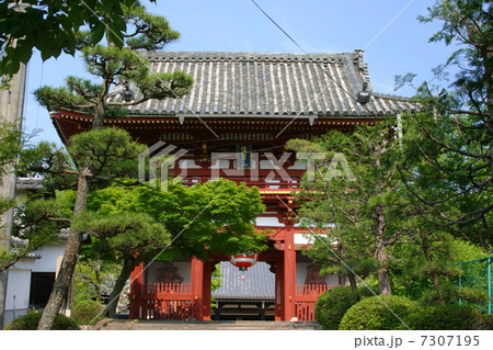 京都 宝塔寺 仁王門 京都 宝塔寺 仁王門 7307195