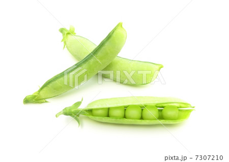 エンドウ豆 7307210