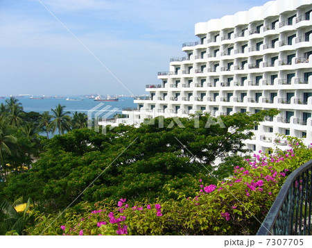 シンガポールホテル 7307705