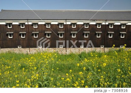 京都　伏見の酒蔵 7308916