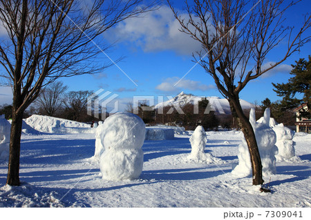 大沼公園雪と氷の祭典 7309041