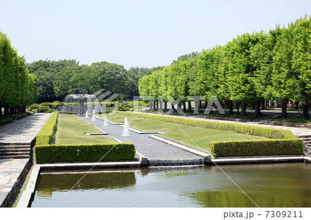 国営昭和記念公園 国営昭和記念公園 7309211