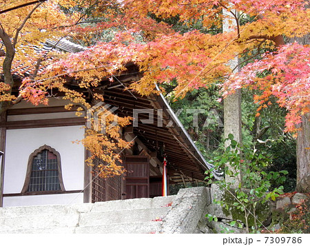 長岳寺　拝堂 7309786