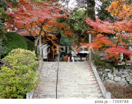 長岳寺 拝堂 長岳寺 拝堂 7309788