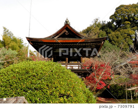 岳寺　桜門 7309791