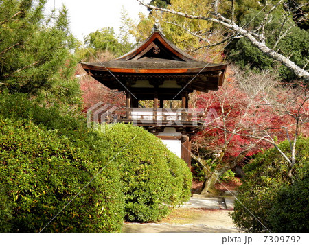 岳寺　桜門 7309792
