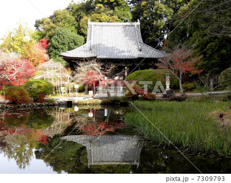 長岳寺 本堂 放生池 長岳寺 本堂 放生池 7309793