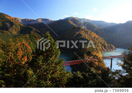 秋の大井川鉄道大井湖上駅 7309956