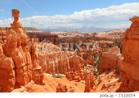 Bryce Canyon National Park landscape, Utah, USA Bryce Canyon National Park landscape, Utah, USA 7310054