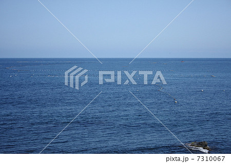 佐渡の大型定置網 佐渡の大型定置網 7310067