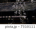 門と枝垂れ桜 7310111