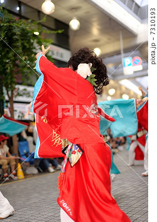 土佐の夏 よさこい祭りは楽しい 乱舞 帯屋町にて 土佐の夏 よさこい祭りは楽しい 乱舞 帯屋町にて 7310193
