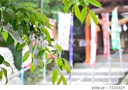 神社のおみくじ 7310324
