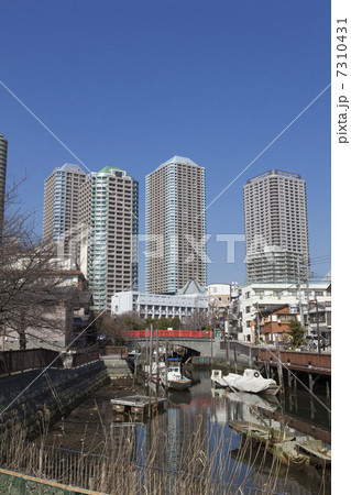 佃島と高層ビル 佃島と高層ビル 7310431