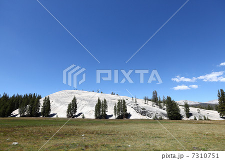 Yosemite National Park, Pothole Dome, California 7310751