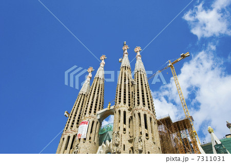 サグラダファミリア大聖堂 7311031