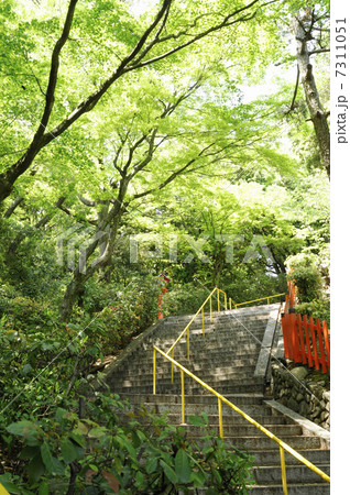 船岡山公園（建勲神社）の階段 7311051