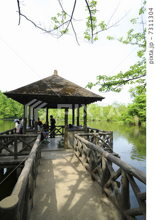 石神井公園／三宝寺池の東屋 7311304