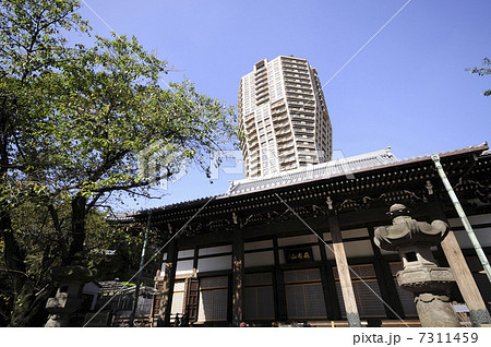 善福寺と元麻布ヒルズ 7311459