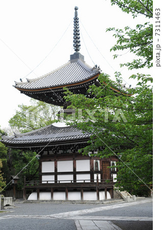 本法寺の多宝塔 本法寺の多宝塔 7311463