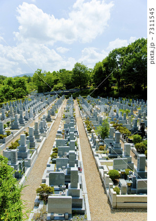 お墓 7311545