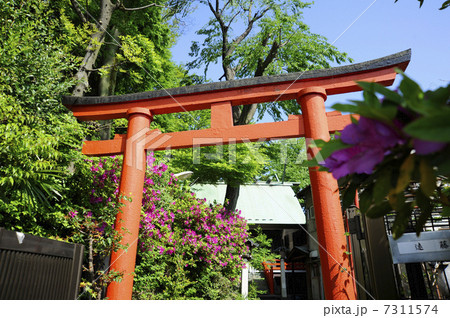 稲荷神社の鳥居 稲荷神社の鳥居 7311574