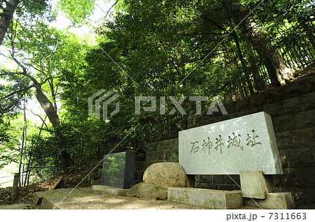 石神井城跡 7311663