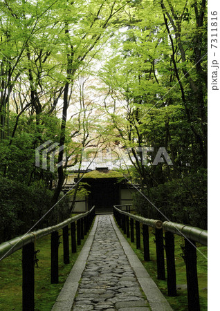 大徳寺高桐院の小道 7311816