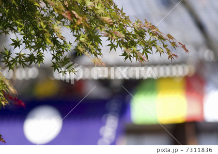 紅葉とお寺 7311836