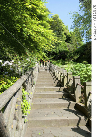 薬王院参道の石段 7311970