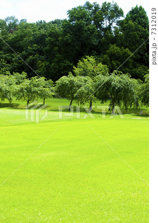 芝生広場 7312019