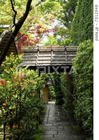 大徳寺黄梅院の中庭 7312049