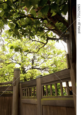 日本家屋の門 7312065